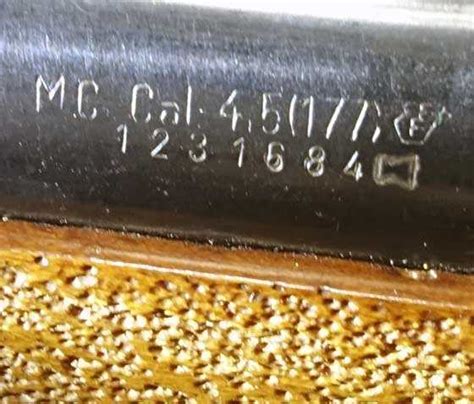 The idea behind serial numbers is to identify a specific item, much like how a fingerprint identifies a. . El gamo serial numbers by serial number